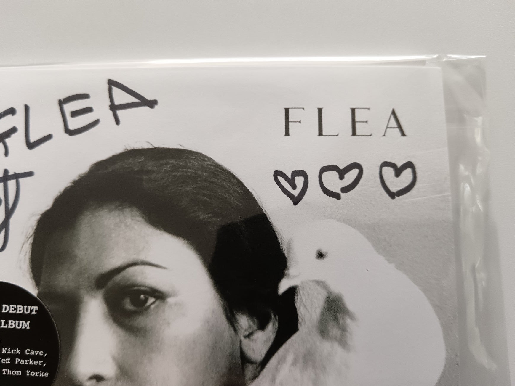 Flea Signed “Honora” CD With Hand-Drawn Hearts | Rare Autographed Signed Edition