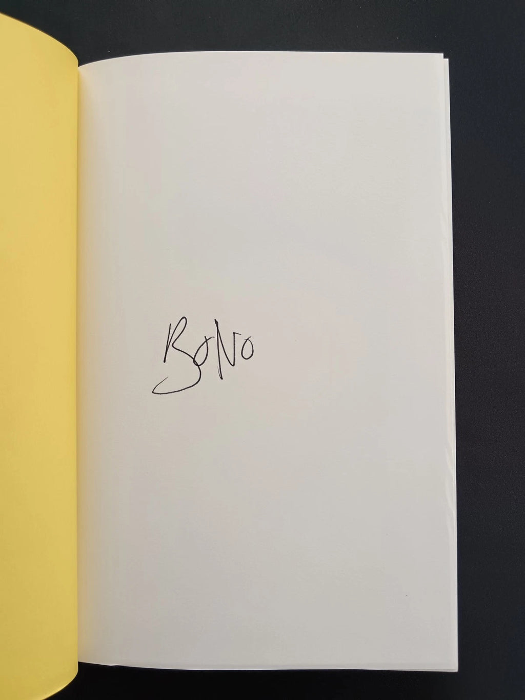 Bono Hand Signed Surrender: 40 Songs, One Story Hardcover Book | Genuine Autograph | U2