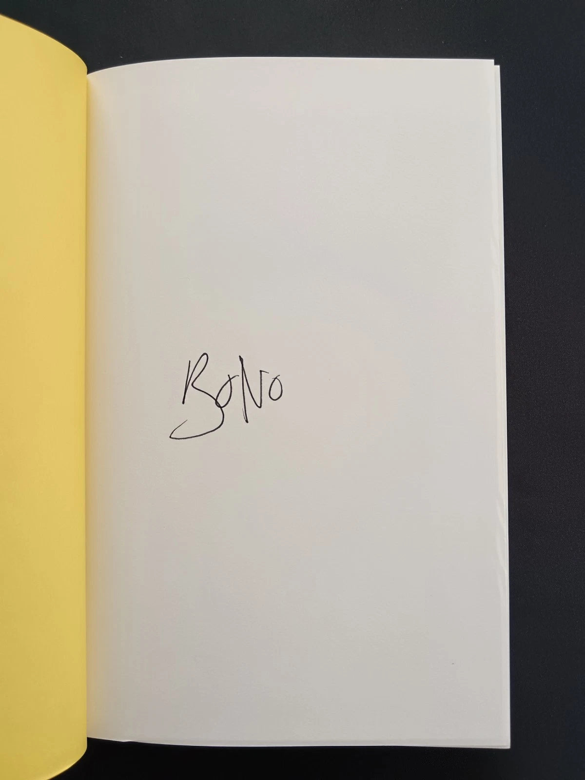 Bono Hand Signed Surrender: 40 Songs, One Story Hardcover Book | Genuine Autograph | U2